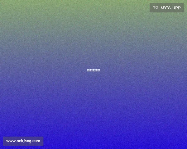 社区盾杯决赛规则